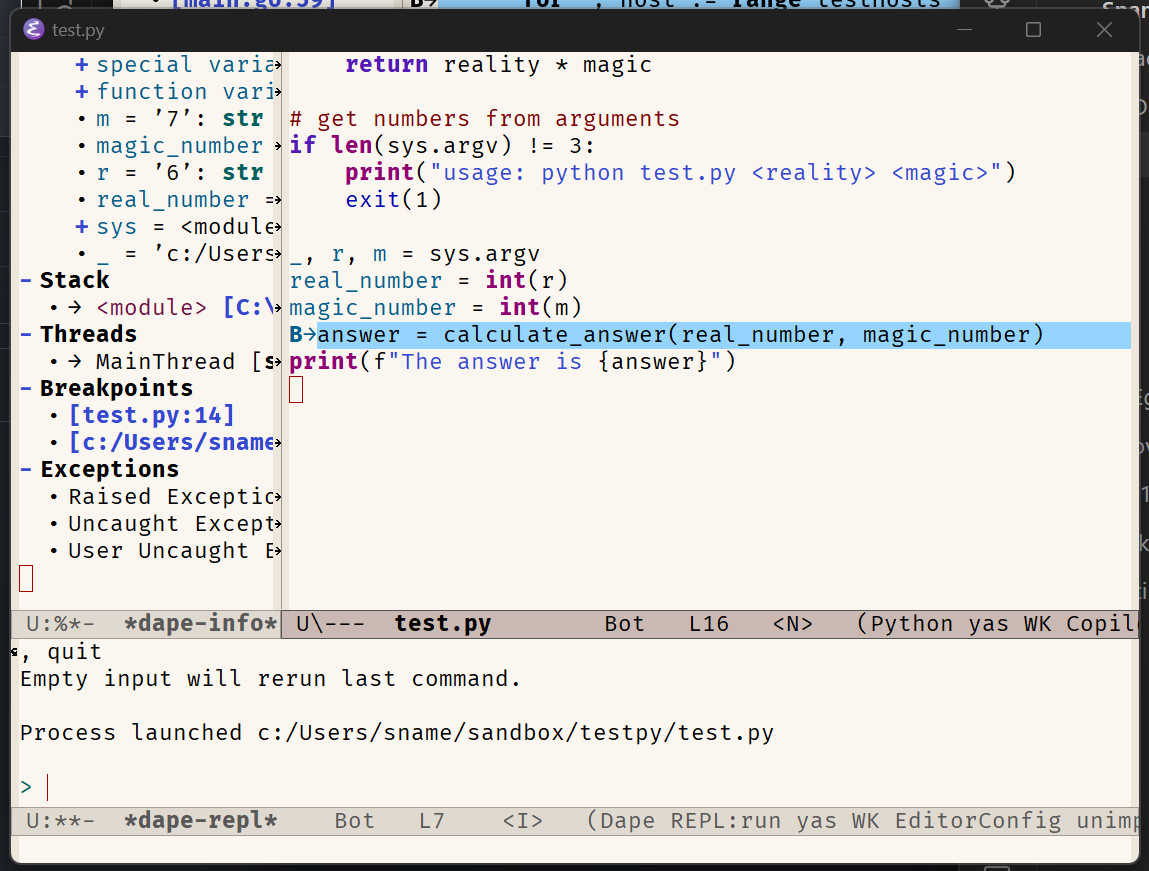 Python debugging views